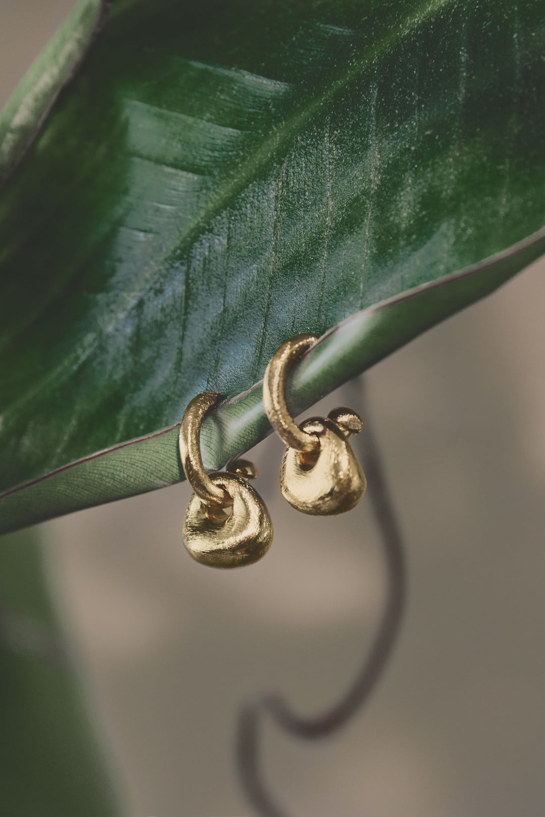 Gold-colored, matte finish Sierra drop earrings with sculptural, irregular shapes hanging from a green leaf.
