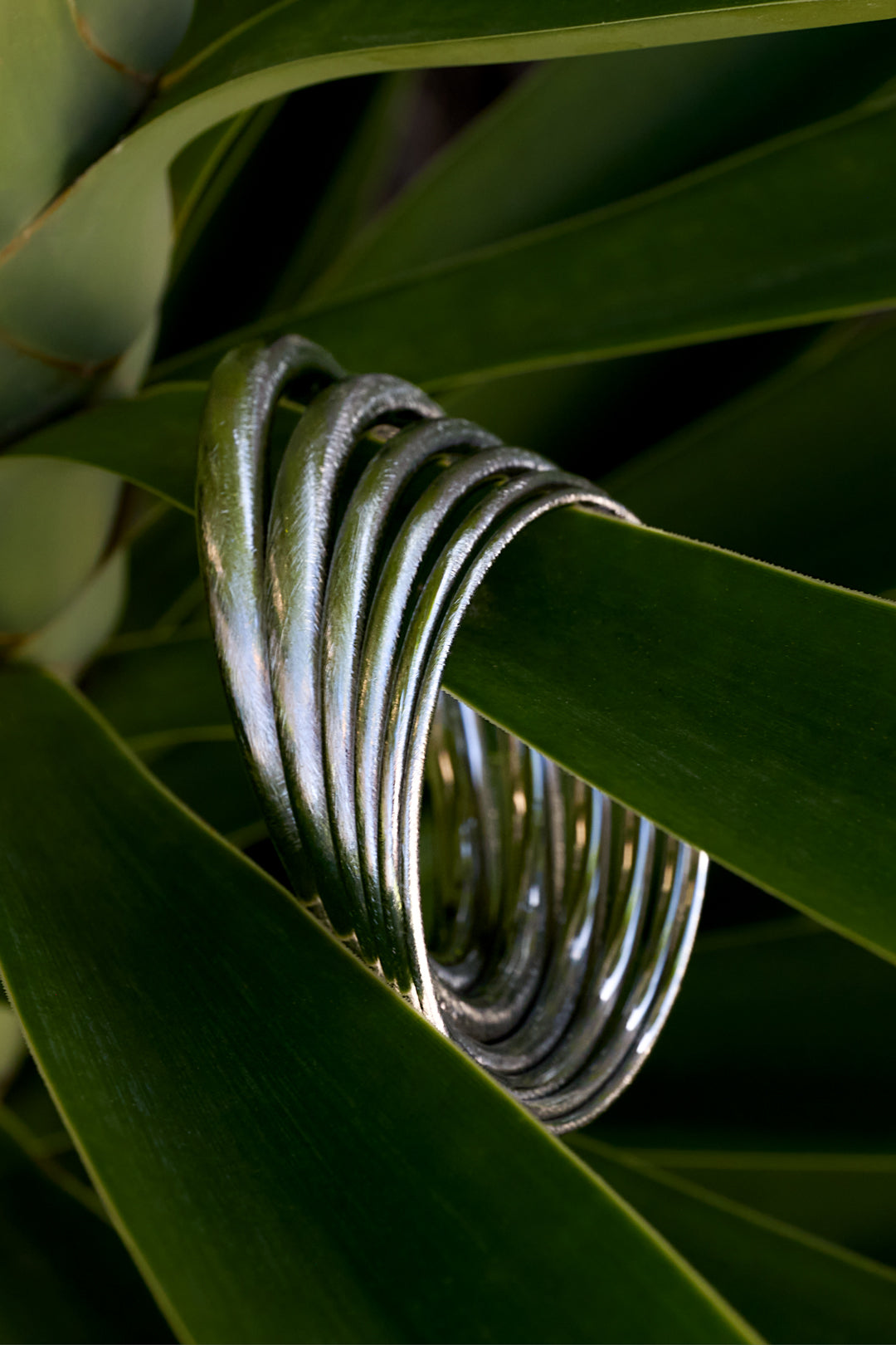 Silver Elara Bangle Bracelet with a brushed finish, 3 mm wide, resting on green leaves.