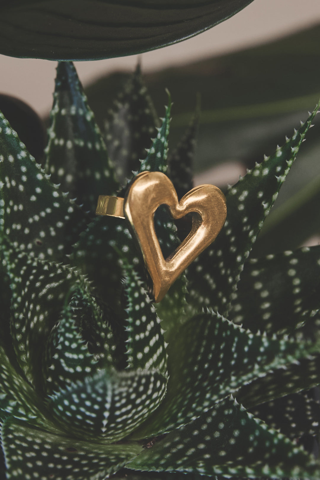 Gold heart-shaped ring resting on a succulent plant.