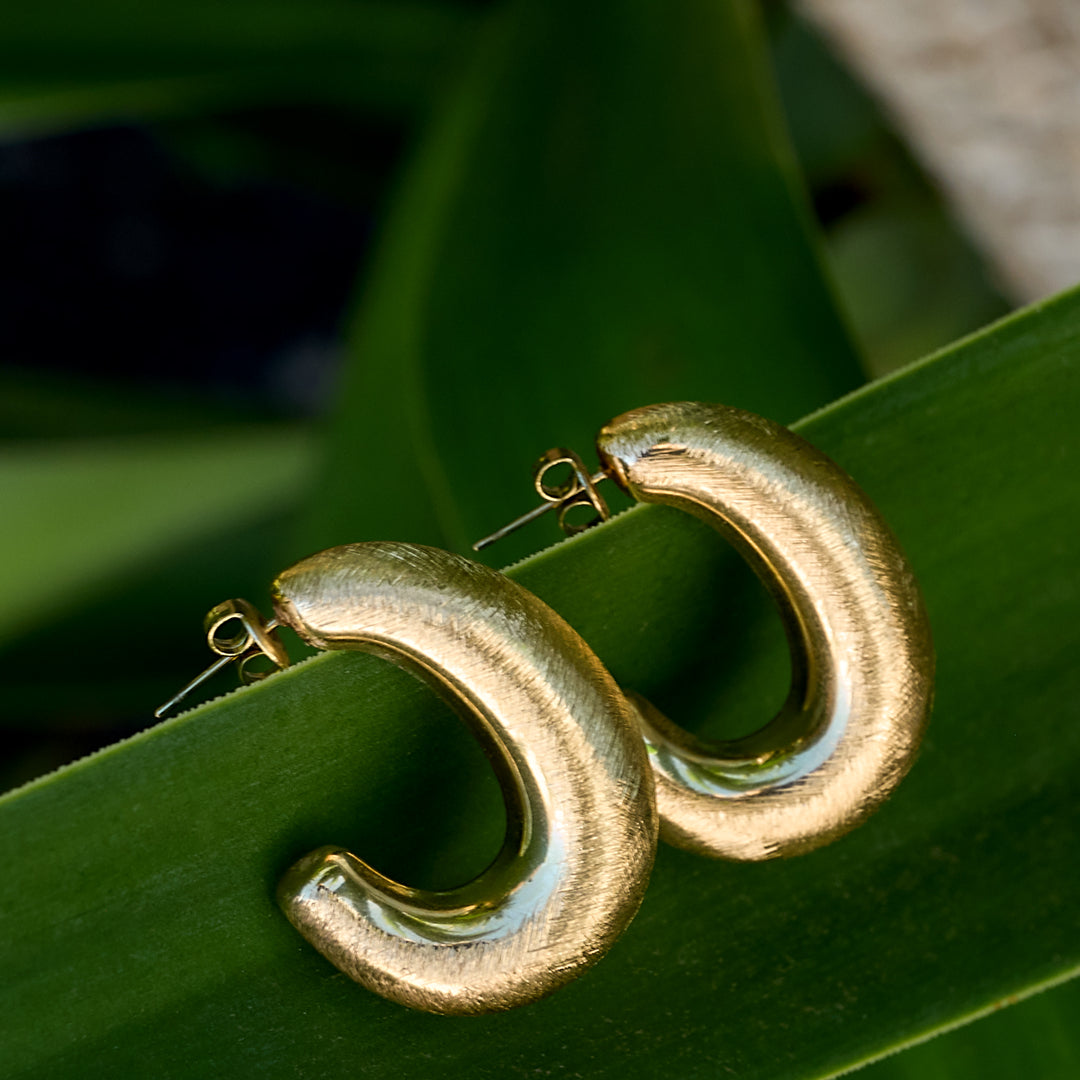 Gold Aurelia Hoop Earrings on a green leaf.