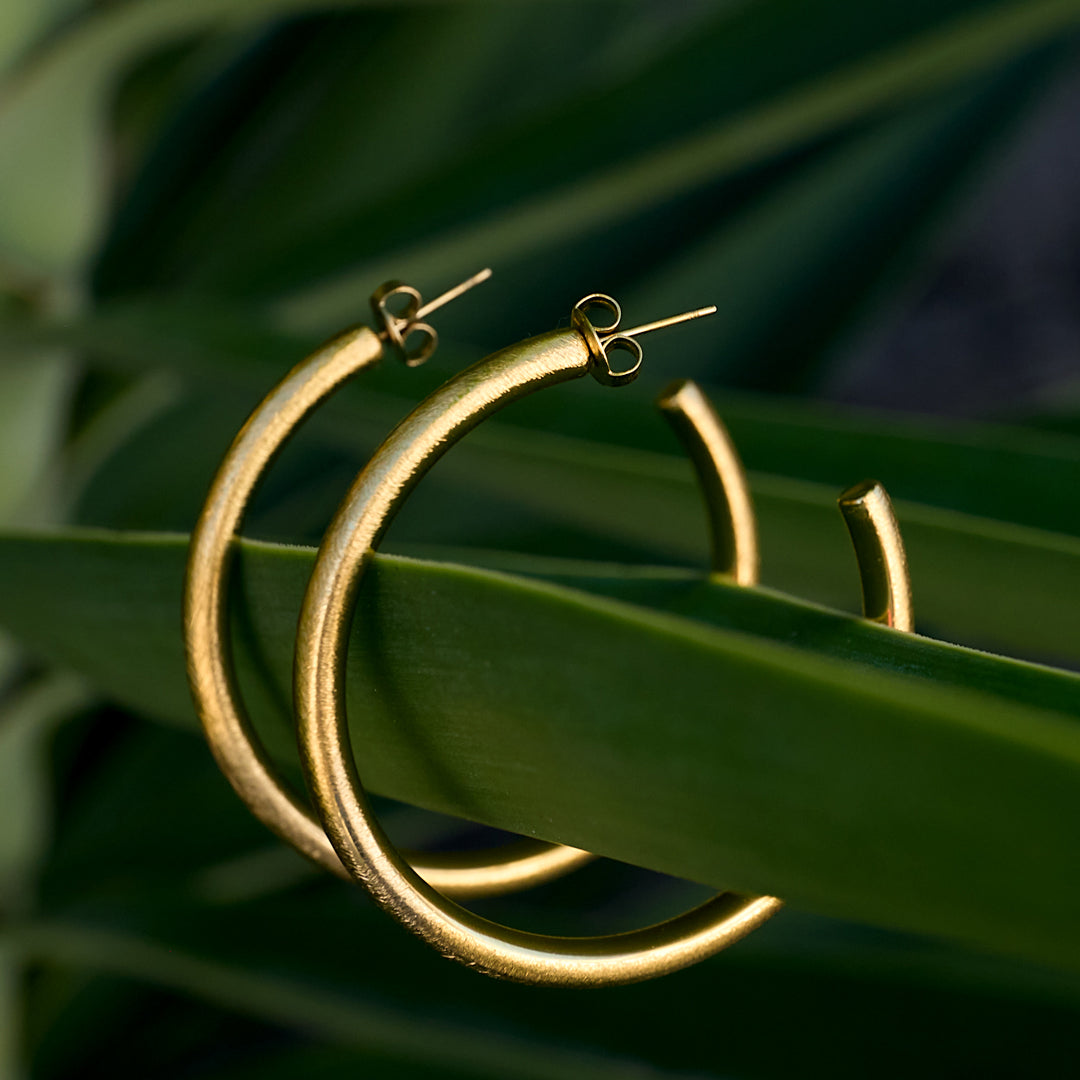 Gold Astra hoop earrings resting on a green leaf.