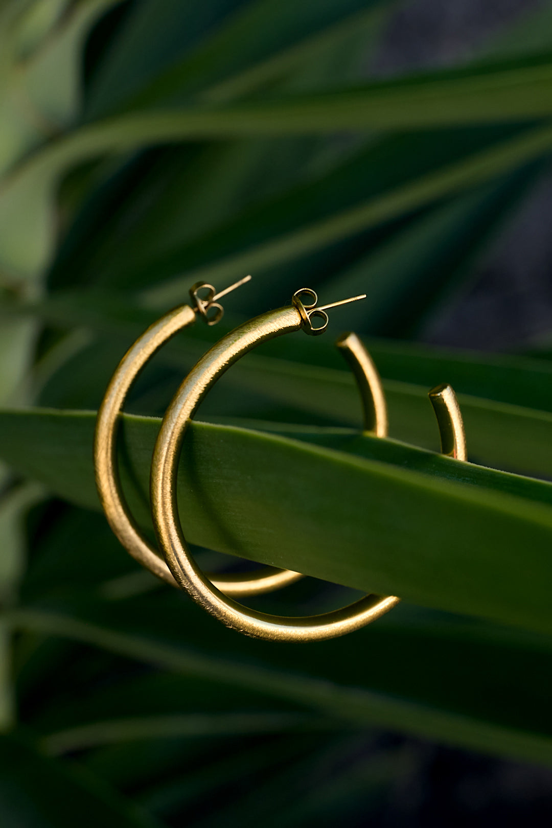 Gold Astra hoop earrings resting on a green leaf.