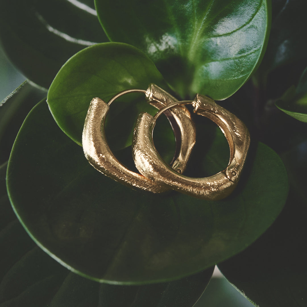 Gold Astra hoop earrings with a square shape and rounded edges resting on green leaves.