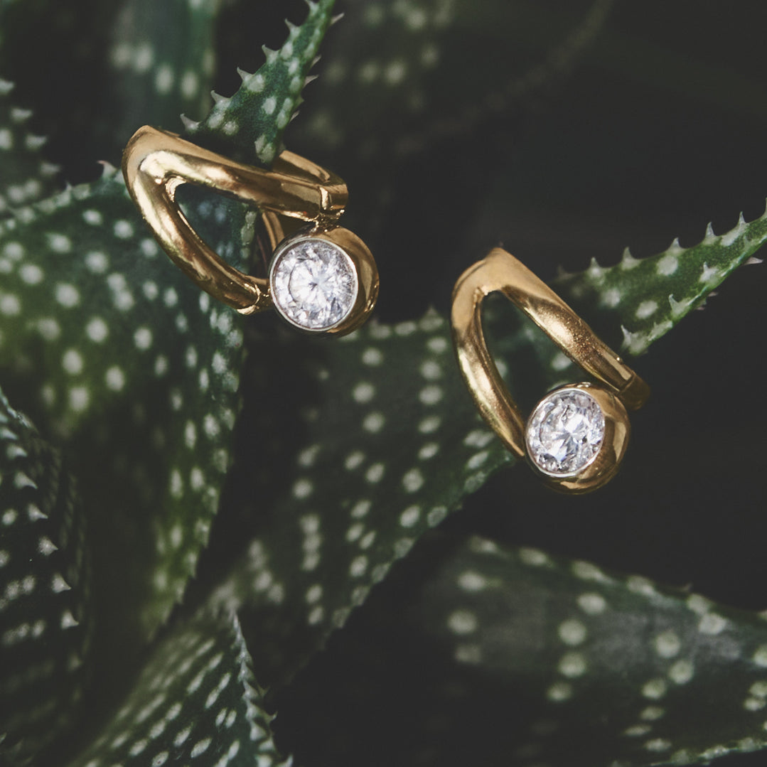 Ondine Irregular Hoop Earrings with diamonds on a succulent plant.