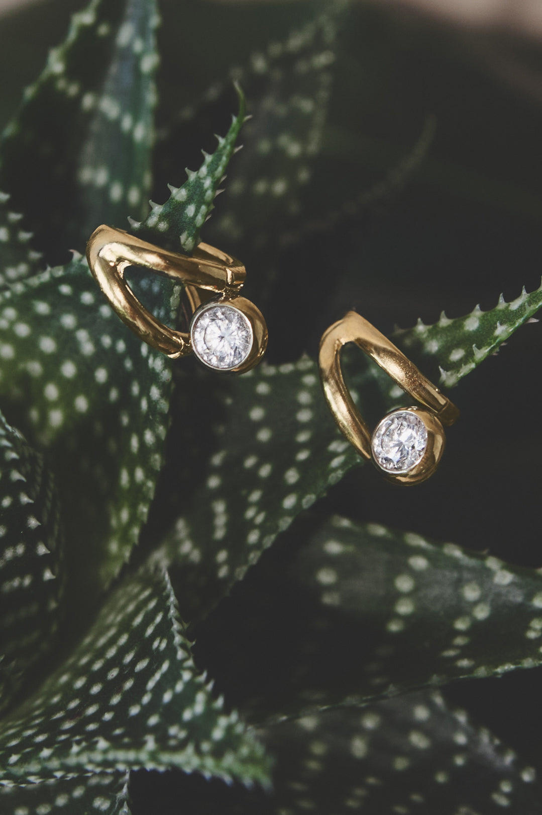 Ondine Irregular Hoop Earrings with diamonds on a succulent plant.