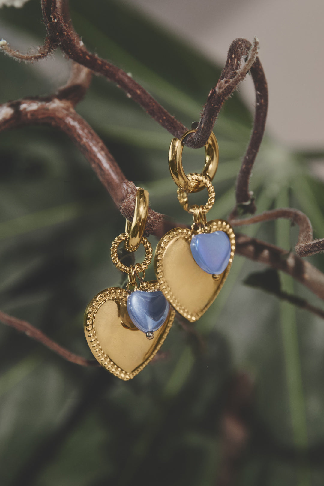 Gold hoop earrings with blue heart-shaped pendants hanging from a branch.