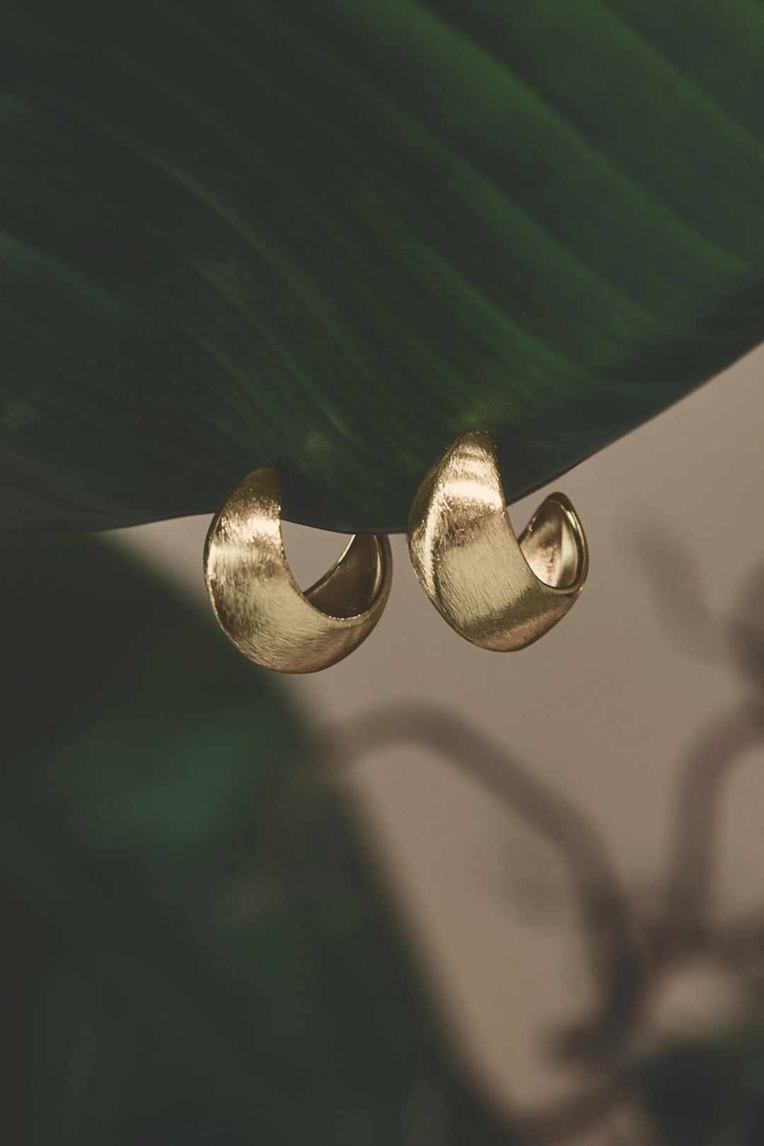 Aurelia Hoop Earrings in gold, shown on a green leaf.