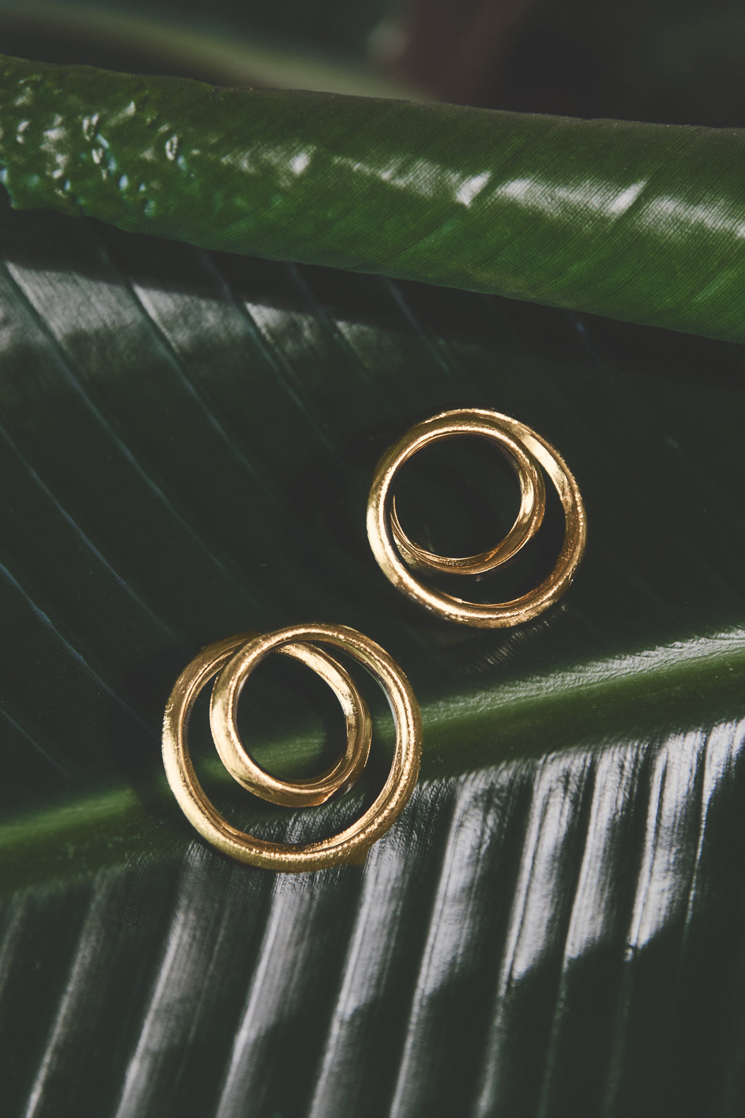 Gold spiral circle stud earrings on a green leaf.
