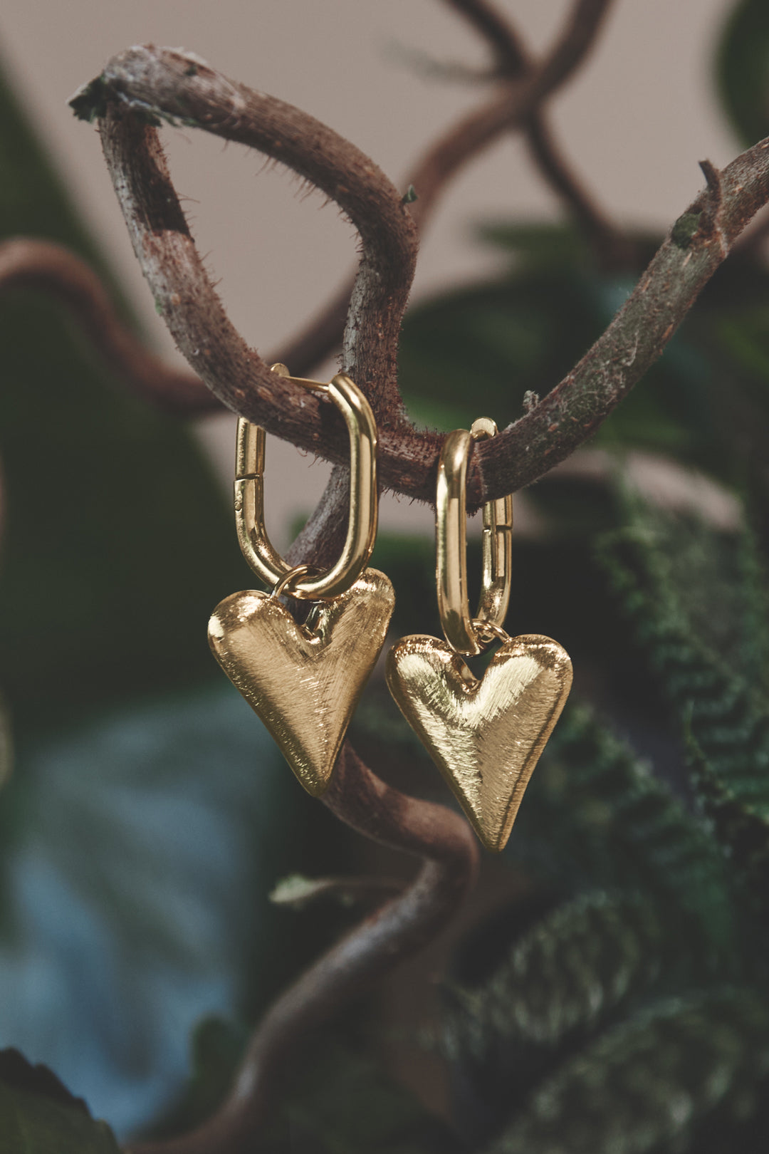 Gold heart drop earrings hanging from a branch.