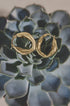Gold irregular circle hoop earrings resting on a succulent plant.