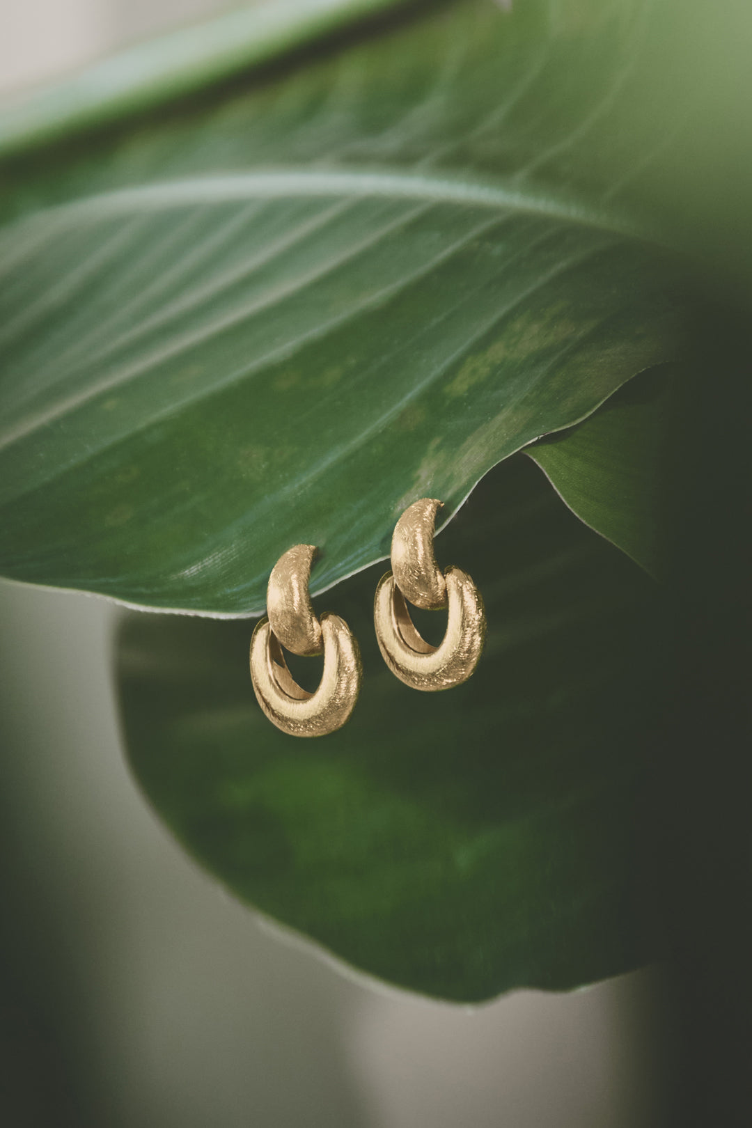 Elysian Link Earrings in matte gold finish, resting on a green leaf.